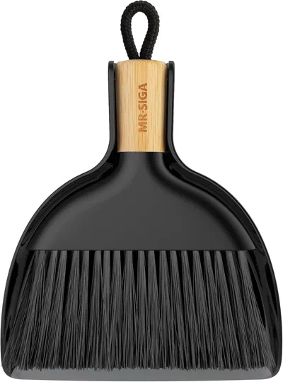 Ordinary Eye Mini Dustpan And Brush Set, Portable Cleaning Brush And Dustpan Combo With Bamboo Handle, Black, 1 S
