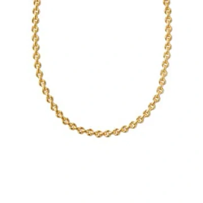 Orelia Heritage Link Chain Necklace In Gold