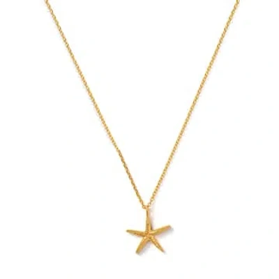 Orelia Starfish Charm Necklace In Gold