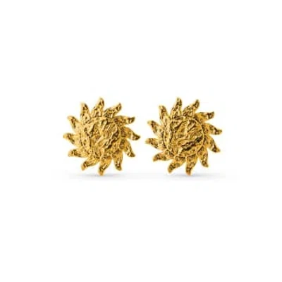 Orelia Statement Molten Sun Stud Earrings In Gold