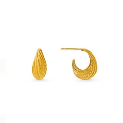 Orelia Tapered Dome Twist Hoop Earrings In Gold