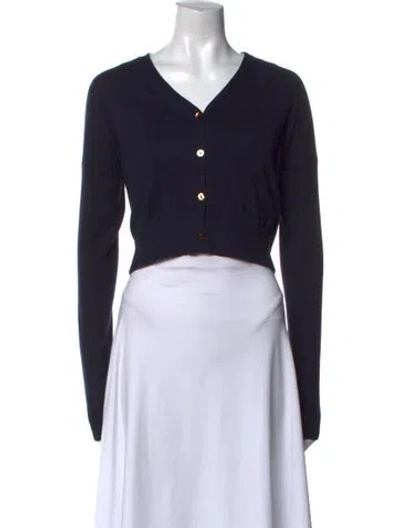 Pre-owned Organic By John Patrick Cashmere V-neck Sweater In Blue