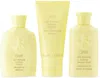 Oribe Hair Alchemy Discovery Collection Travel Set In N/a
