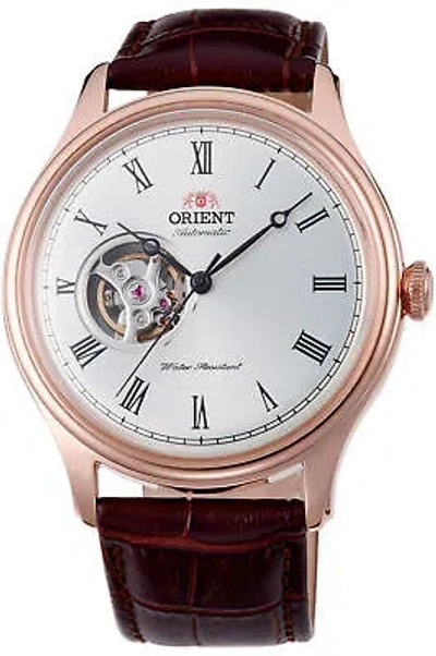 Pre-owned Orient Watch - Ag00001s For Male Light Grey In Stainless Steel