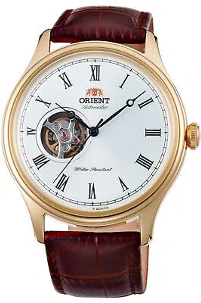 Pre-owned Orient Watch - Ag00002w For Male Light Grey In Stainless Steel
