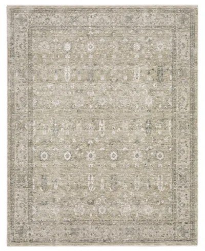 Oriental Weavers Avalon Ava03 6'7"x10' Area Rug In Neutral