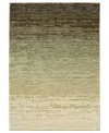 Oriental Weavers Reed Re09a 5'3x7'6 Area Rug In Green