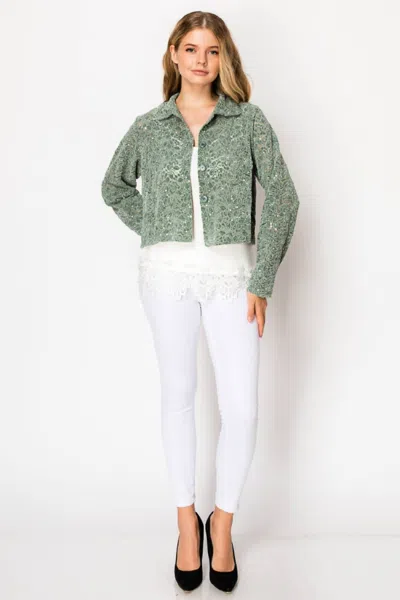 Origami Lace & Sequin Crushed Velvet Crop Jacket In Green