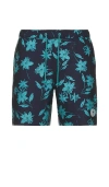 Original Penguin 7 All Over Print Swim Shorts In 深蓝色