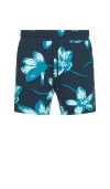 Original Penguin 7 Floral French Terry Short In Blue