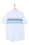 Original Penguin Lawn Chest Stripe Short Cotton Sleeve Button-up Shirt In Bright White