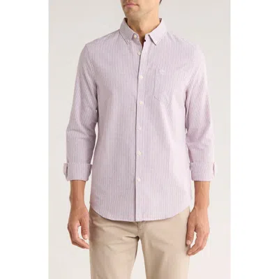 Original Penguin Woven Long Sleeve Stripe Shirt In Burgundy
