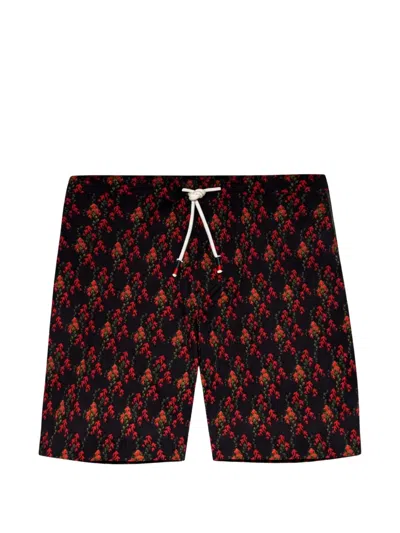 Orlebar Brown Devlin Floral-print Shorts In Multi