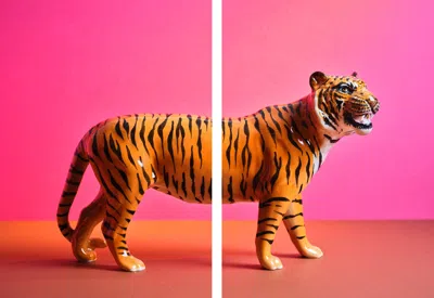Ornament Art Pink / Purple Tiger Split, Pink Pair Of Giclée Photo Prints
