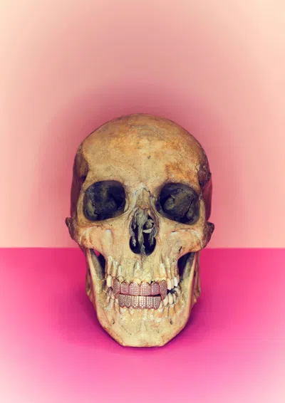 Ornament Art Pink / Purple You Can Take It With You, Grillz Giclée Photo Print