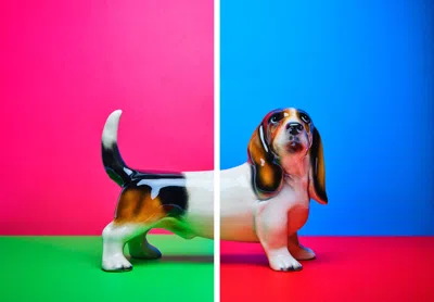Ornament Art Sausage Split Bright Pair Of Giclée Photo Prints