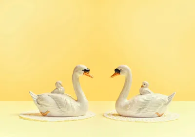 Ornament Art Yellow / Orange / White Reflected Swans, Yellow Mood Giclée Photo Print