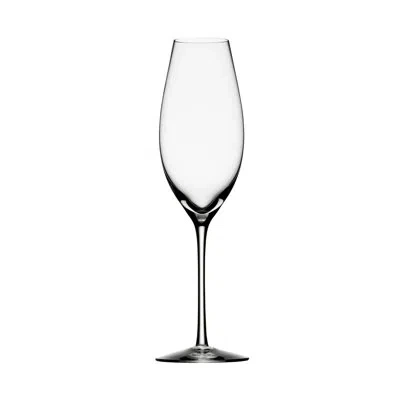 Orrefors Difference 10 Oz. Glass Flute In Clear