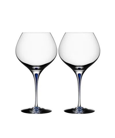 Orrefors Intermezzo Blue Set Of 2 Bouquet Glasses In White