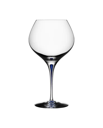 ORREFORS ORREFORS INTERMEZZO BOUQUET GLASS