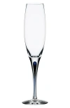 Orrefors Intermezzo Champagne Flute In Clear/blue