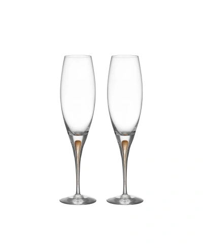 Orrefors Intermezzo Gold Champagne Glass, 2-pack In Transparent