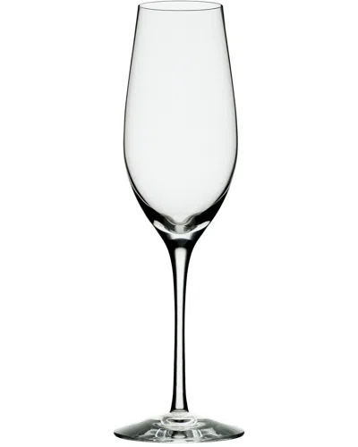 Orrefors Merlot Champagne Flute In Transparent