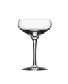 Orrefors More Champagne Coupe, Set Of 4 In Clear
