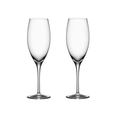 Orrefors Premier 10 Oz. Crystal Flute In Clear