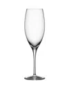 Orrefors More Set Of 4 Champagne Flutes In Clear