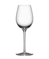 Orrefors Premier Chardonnay In Clear