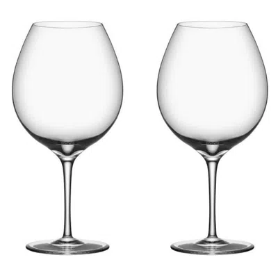 Pre-owned Orrefors Premier Pinot Noir 2-pack In Gray