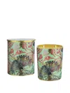 Ortigia Sicilia Fico D'india Candle (7cm X 8.5) In Green