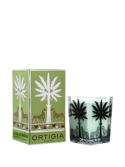 Ortigia Sicilia Palm-tree Scented Candle (170g) In Green
