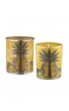 Ortigia Zagara Candle In Multi