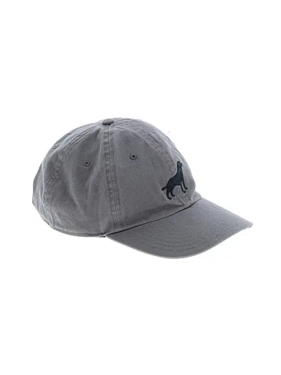 Pre-owned Orvis Baseball Cap In Gray