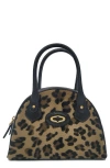 Oryany Bestie Small Leopard Faux Hair Top-handle Bag In Leopard