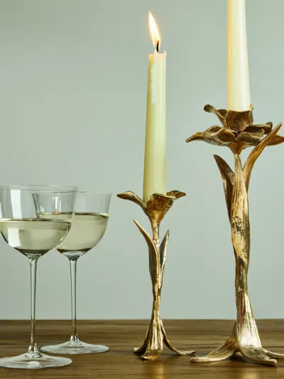 Osanna Visconti Iris Hand-cast Bronze Small Candle Holder In Brown