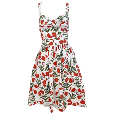 Pre-owned Oscar De La Renta 1990s  Poppy Print Size 6 Fit & Flare Vintage Cotton 90s Dress In Gray