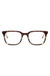Oscar De La Renta 51mm Oversize Square Optical Glasses In Amber Demi