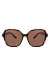 Oscar De La Renta Angled Modern 58mm Square Polarized Sunglasses In Tortoise