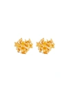 OSCAR DE LA RENTA BOUQUET BUTTON EARRINGS