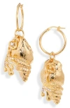 Oscar De La Renta Coral & Shell Charm Hoop Earrings In Gold