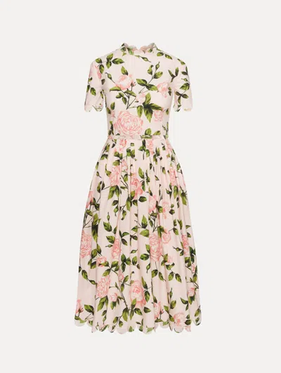 Oscar De La Renta English Rose Cotton Poplin Dress In Multi