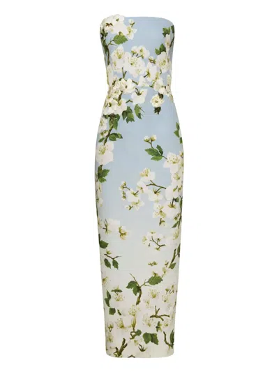 Oscar De La Renta Floral-print Strapless Dress In Blue