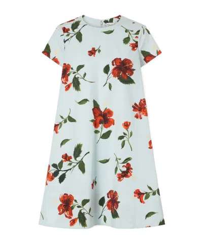 Oscar De La Renta Floral-print Cotton-blend Poplin Mini Dress In Blue
