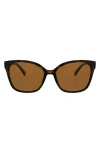 Oscar De La Renta Modern 54mm Square Butterfly Polarized Sunglasses In Tortoise