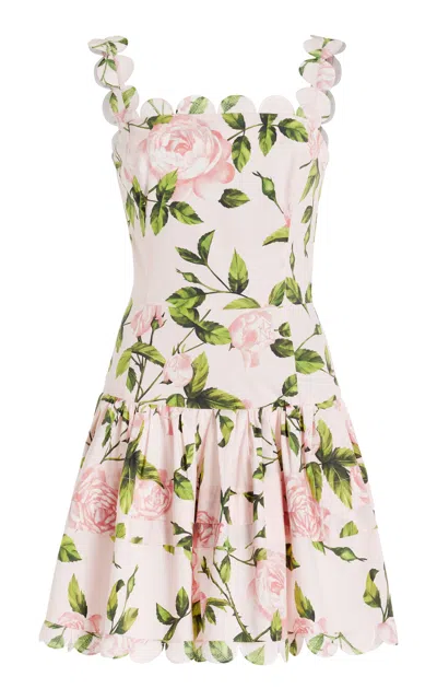 Oscar De La Renta Printed Cotton Poplin Mini Dress In Pink/blush