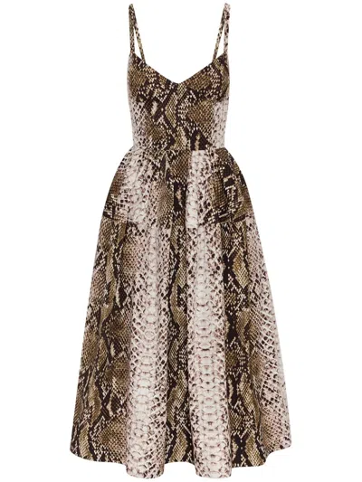 OSCAR DE LA RENTA SNAKE COTTON POPLIN MIDI DRESS