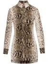 Oscar De La Renta Snake Cotton Poplin Shirt Dress In Green